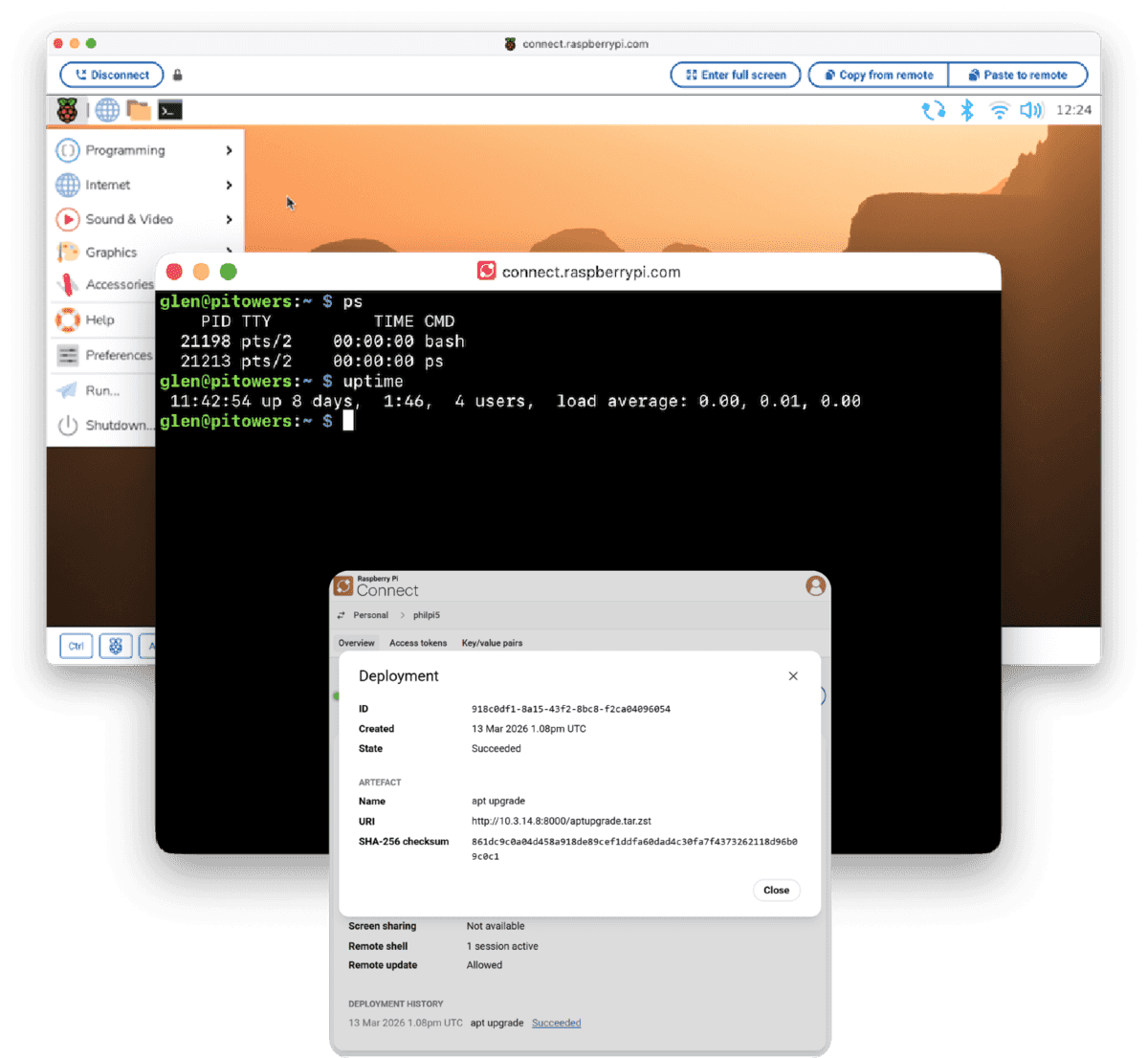 Raspberry Pi Connect windows showing screen sharing, remote shell, and remote update