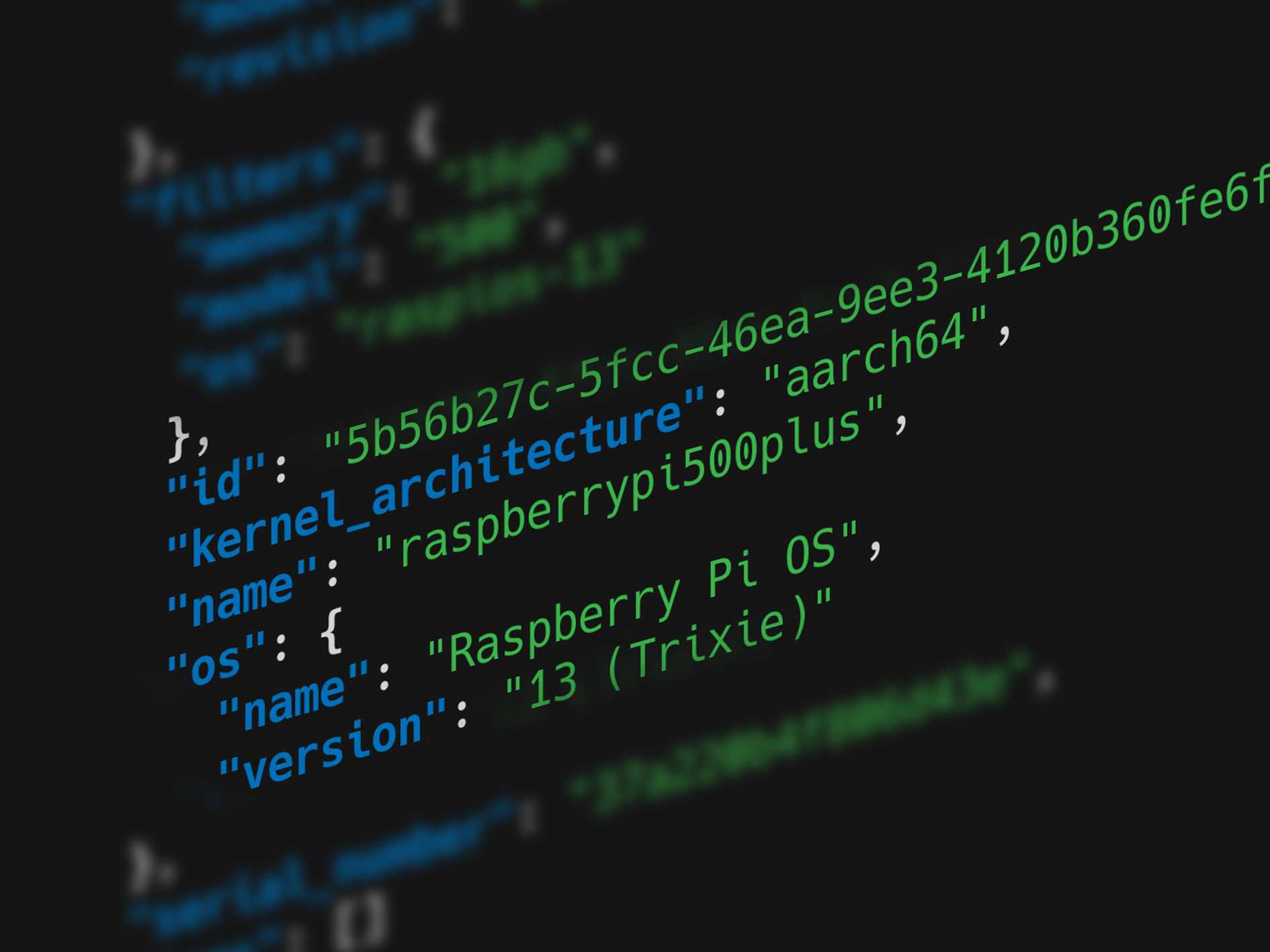 Close-up of JSON device data from the Raspberry Pi Connect Management API