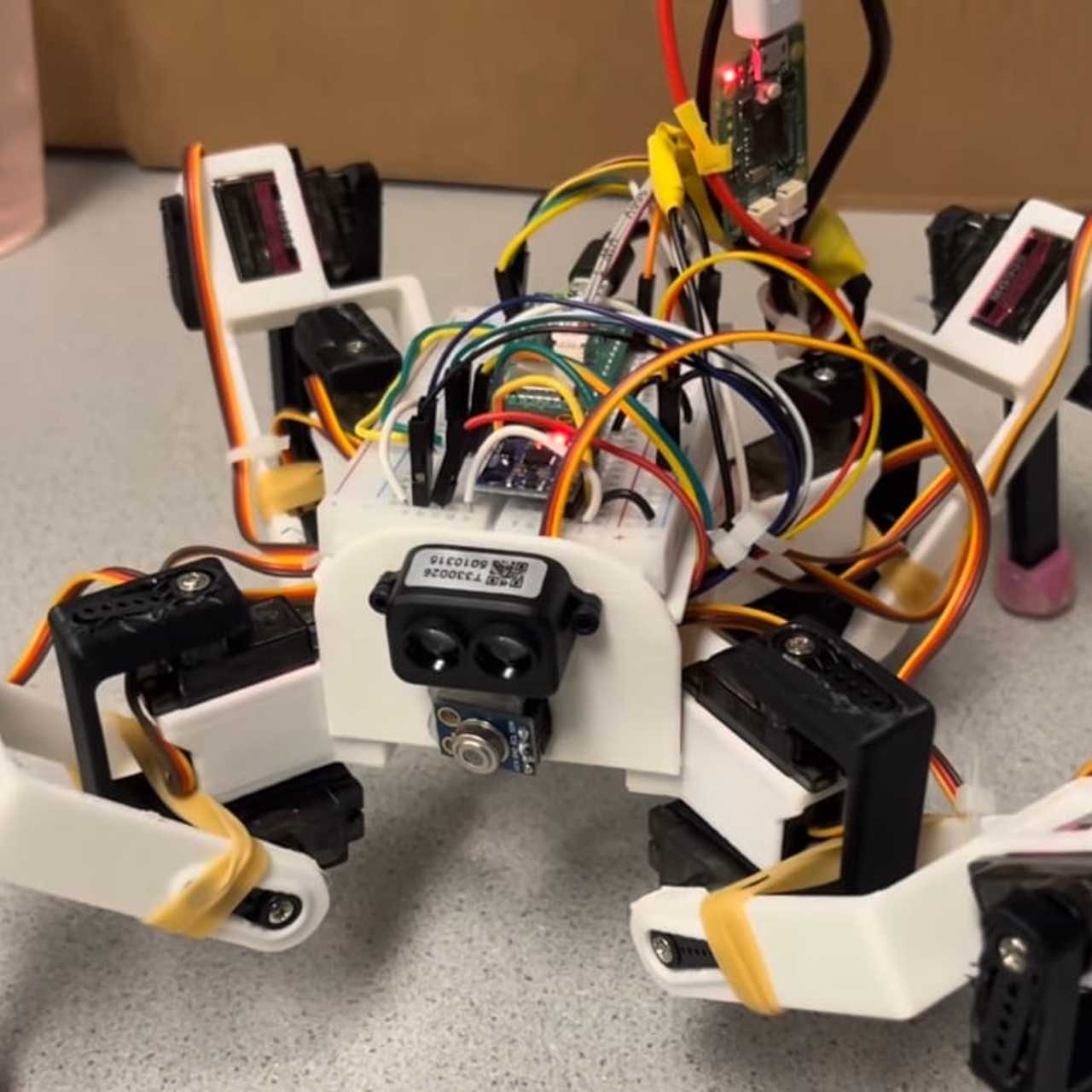Raspberry Pi